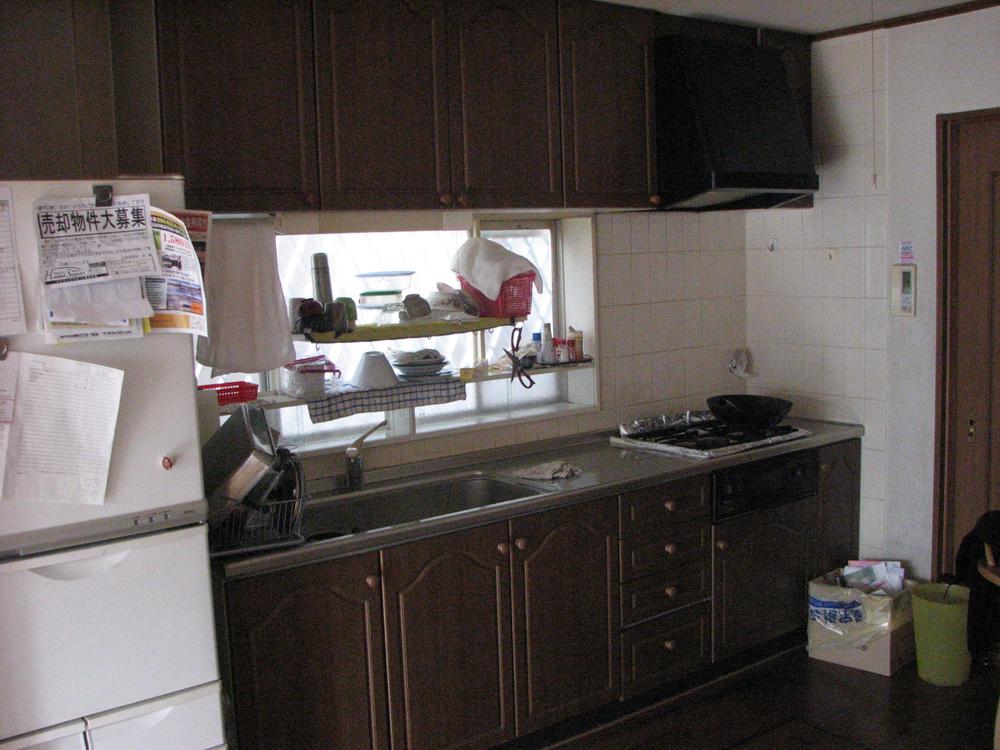 Kitchen. Indoor (12 May 2013) Shooting