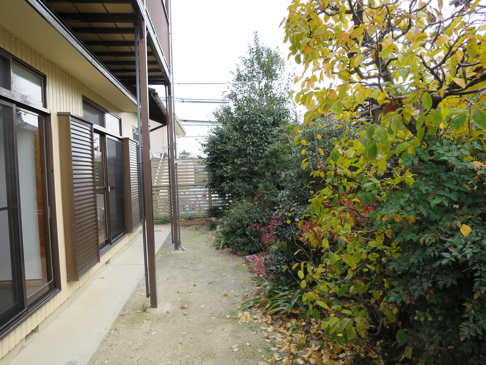 Garden. It is a nice garden