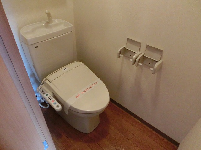 Toilet. Shower toilet