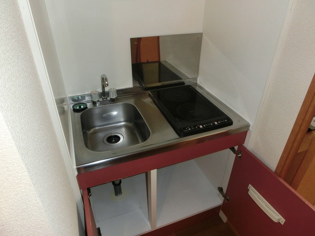 Kitchen. Electric stove 2-neck