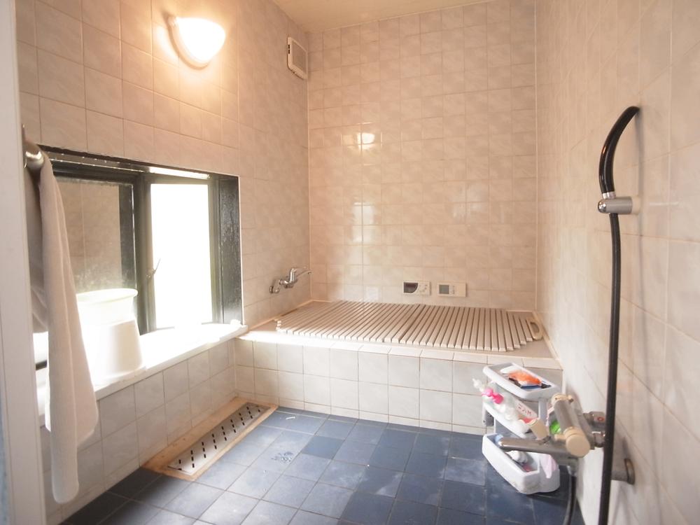 Bathroom. Indoor (11 May 2013) Shooting