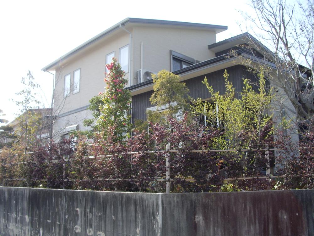 Local appearance photo. Local (11 May 2013) Shooting