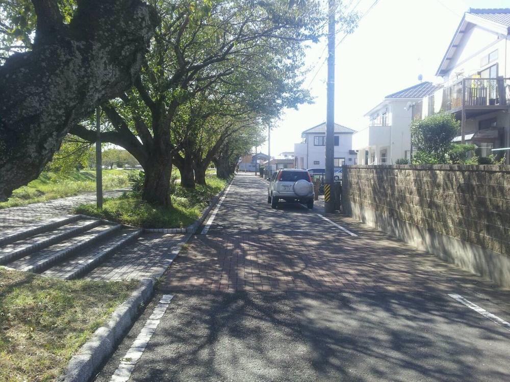 Local photos, including front road