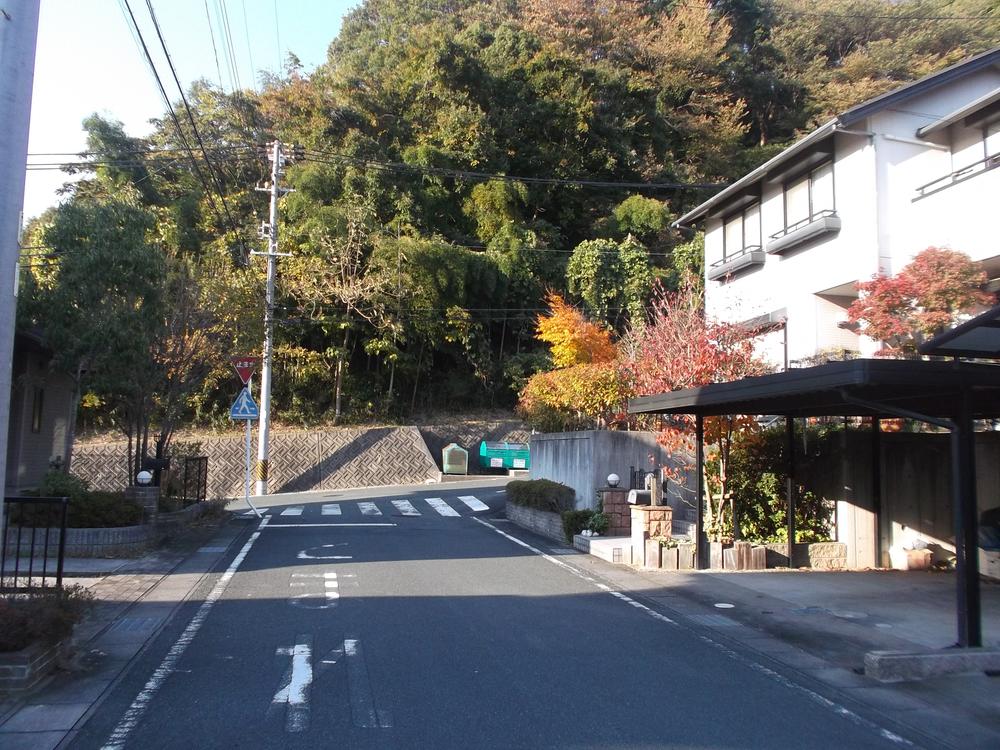 Local photos, including front road. Local (11 May 2013) Shooting