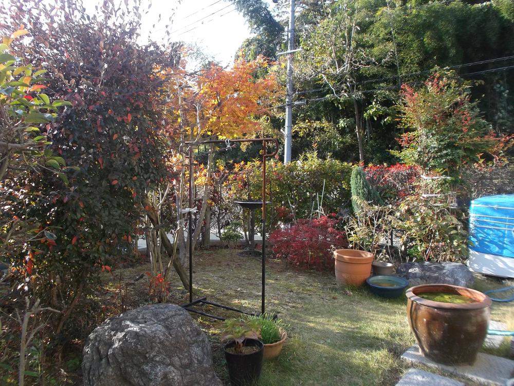 Garden. Local (11 May 2013) Shooting