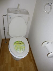 Toilet