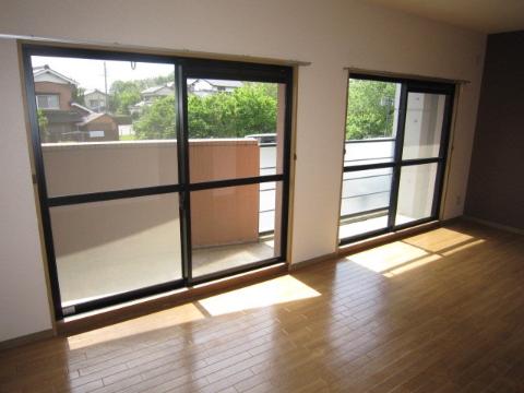 Living and room. Living