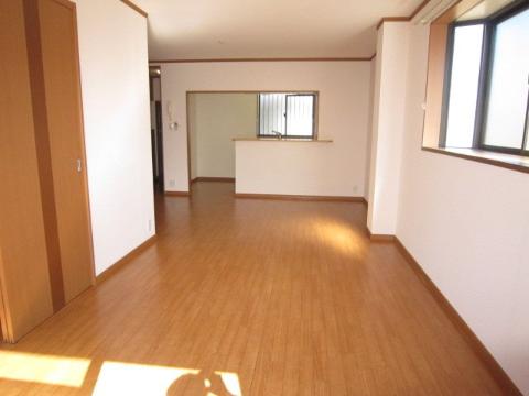 Living and room. Living