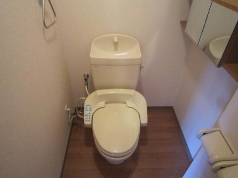 Toilet. Toilet with shower