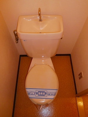 Toilet