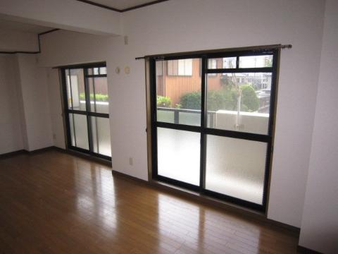 Living and room. Living