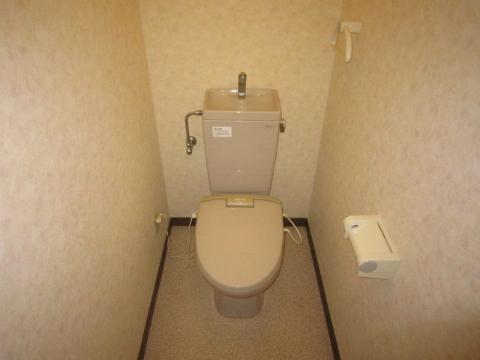 Toilet. WC