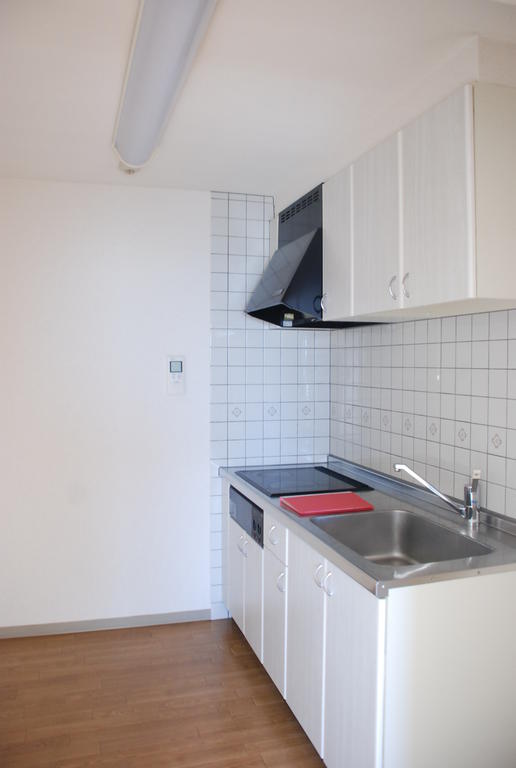 Kitchen. All-electric system kitchen with white cleanliness