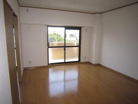 Living and room. Living