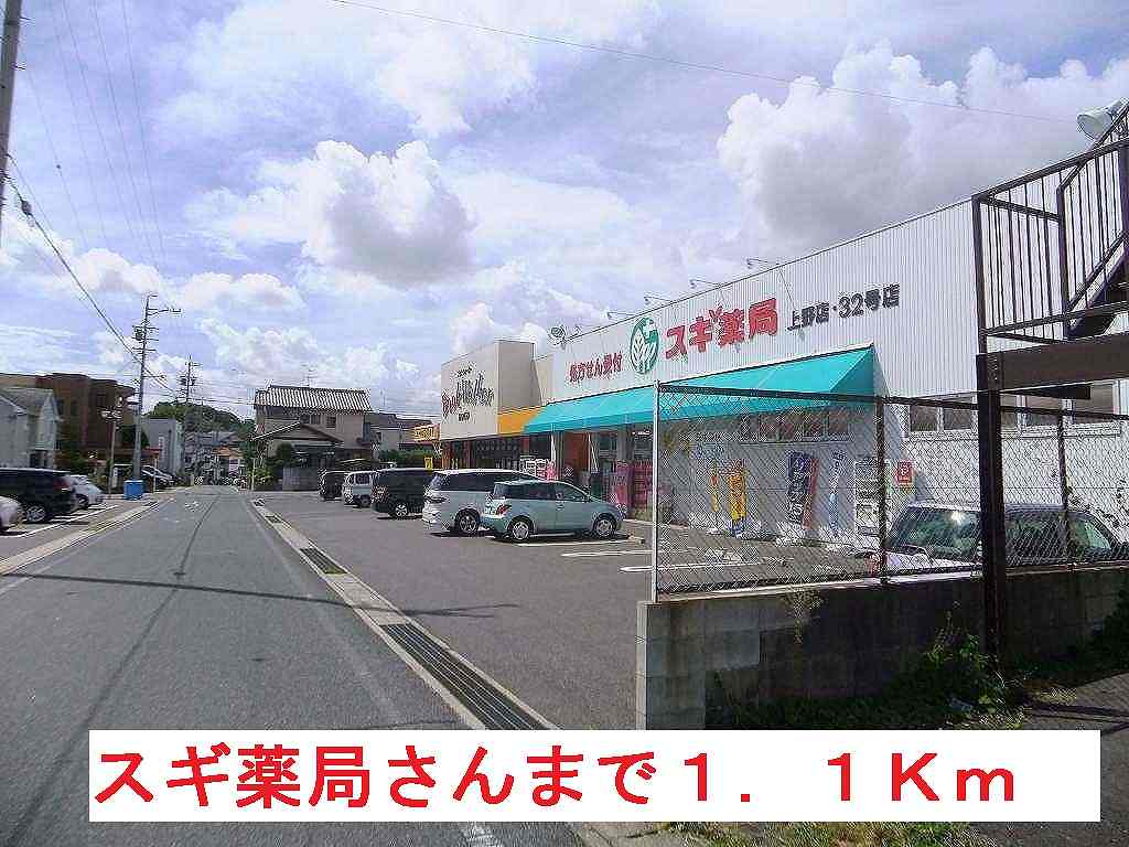 Dorakkusutoa. 1100m to cedar pharmacy (drugstore)