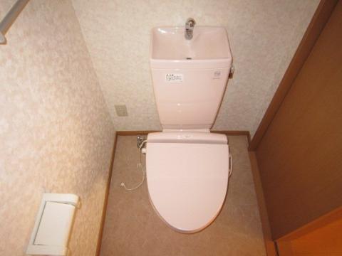Toilet. WC