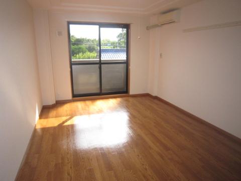 Living and room. Western style room