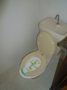 Toilet