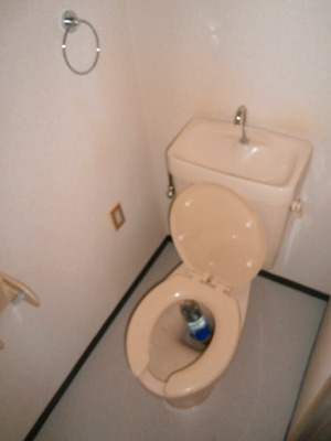 Toilet