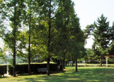 park. 1640m to Dobashi park (park)