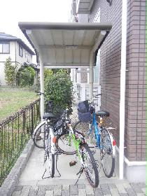 Other. Bicycle Covered