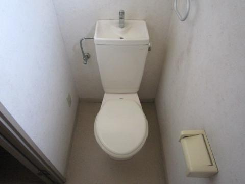 Toilet. WC