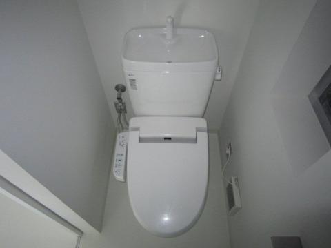 Toilet. Toilet with shower