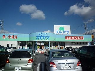 Dorakkusutoa. Drag Sugiyama until (drugstore) 330m