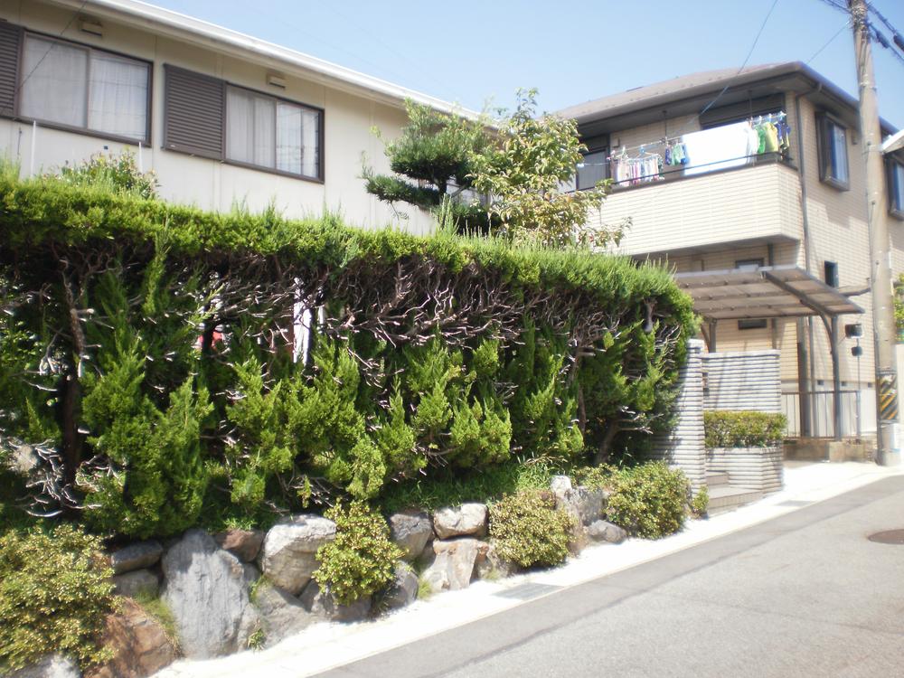 Local appearance photo. Local (September 2013) Shooting