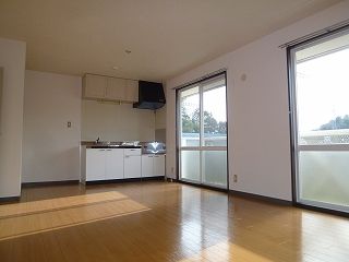 Kitchen. It comes with a mirror in the bathroom. 