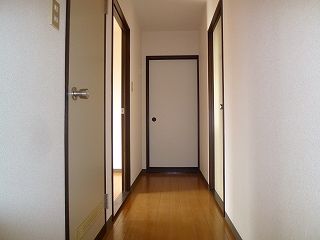 Living and room. Many window, The day per well. 