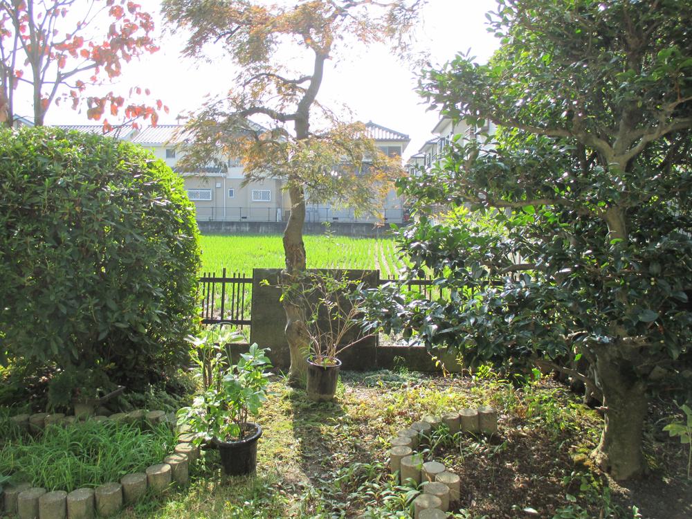 Garden. Local (11 May 2013) shooting manicured garden.