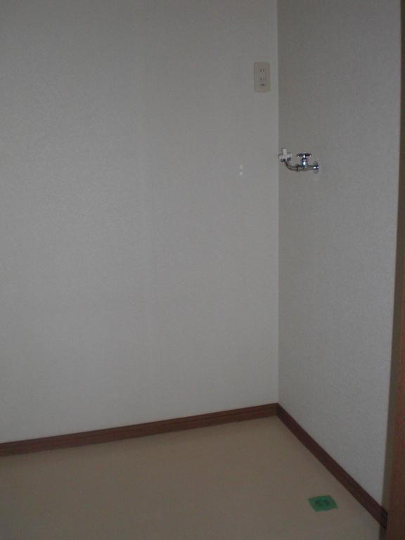 Washroom. Possible to place the other in storage shelves of the washing machine because large washroom