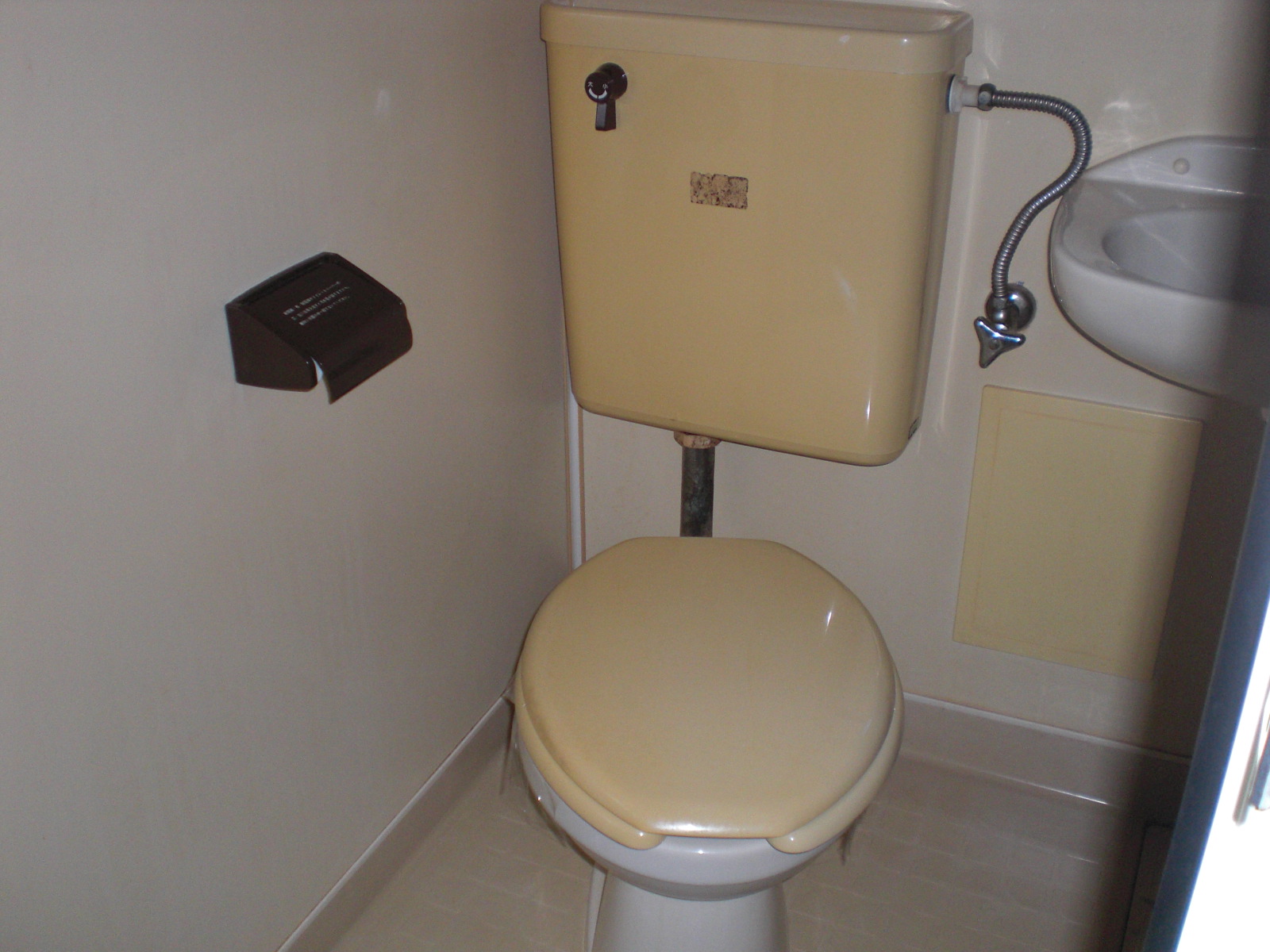 Toilet. Western-style flush toilet