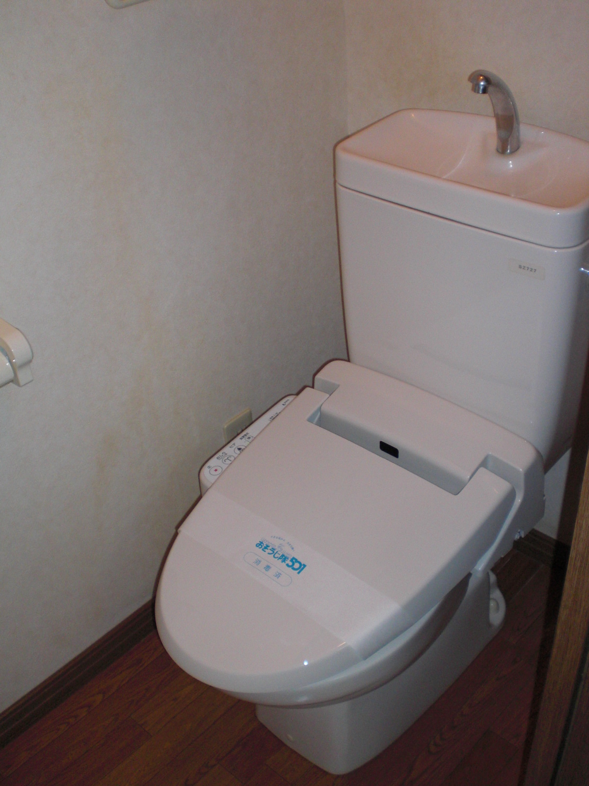Toilet. Flush toilet with a Uosshuretto