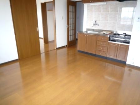 Kitchen. DK is spacious because about 10 Pledge