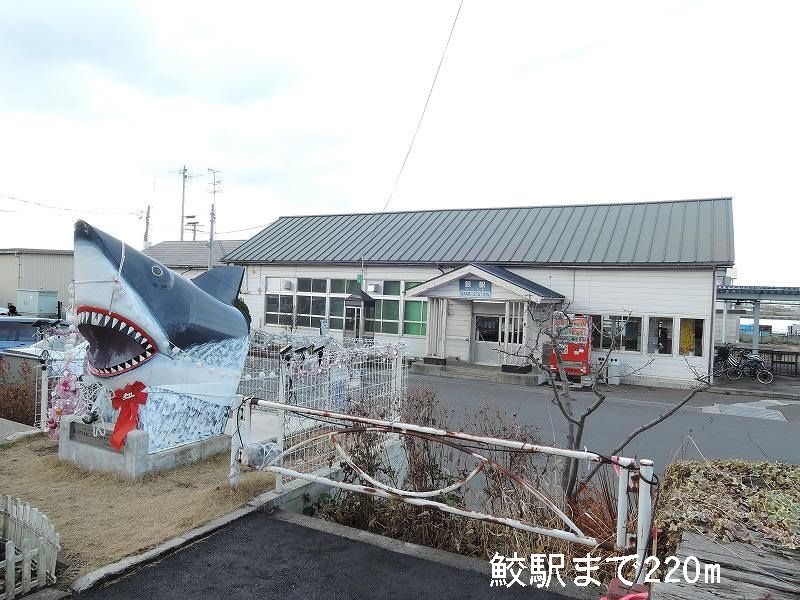 Other. 220m until the shark Station (Other)