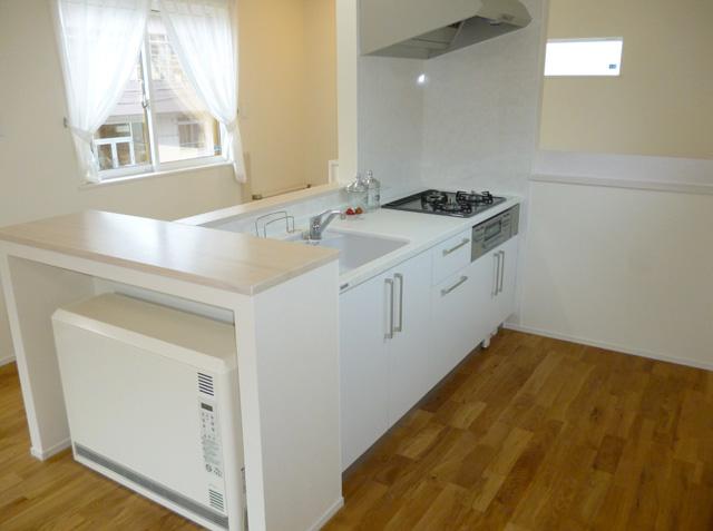 Kitchen. Indoor (11 May 2013) Shooting