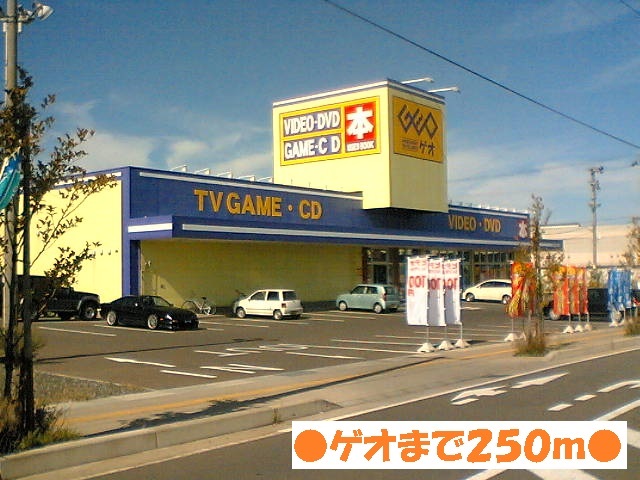 Rental video. GEO 250m until the (video rental)