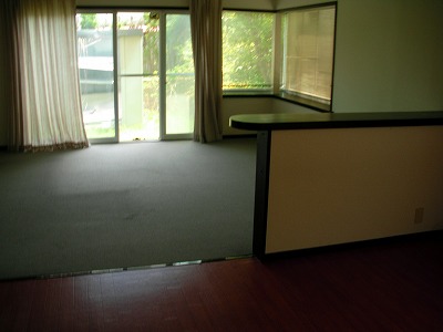 Living and room. Counter There