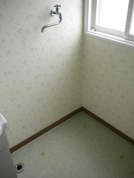 Other. Washing machine Storage