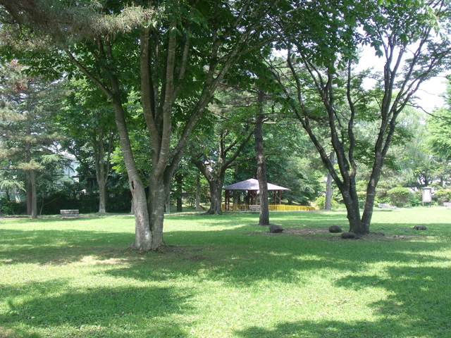 park. Mikino to the park (park) 685m