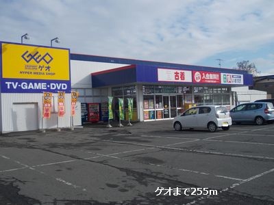 Rental video. GEO 255m until the (video rental)