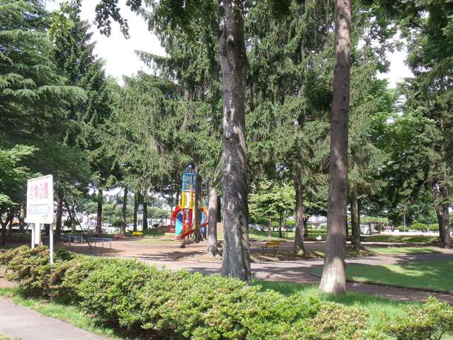 park. 547m until the young leaves park (park)