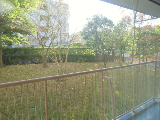 Garden. Indoor (11 May 2013) Shooting