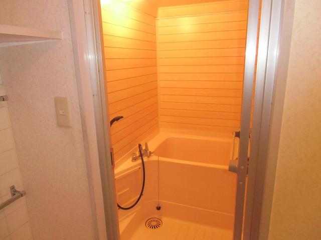 Bathroom. Indoor (11 May 2013) Shooting