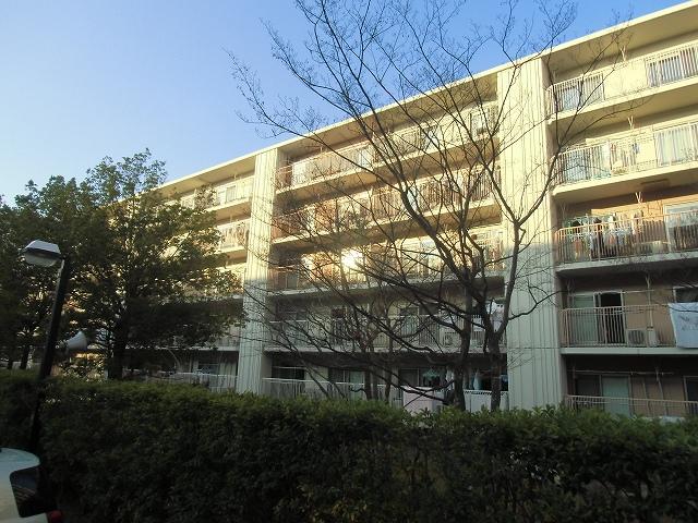 Local appearance photo. Local (12 May 2013) Shooting