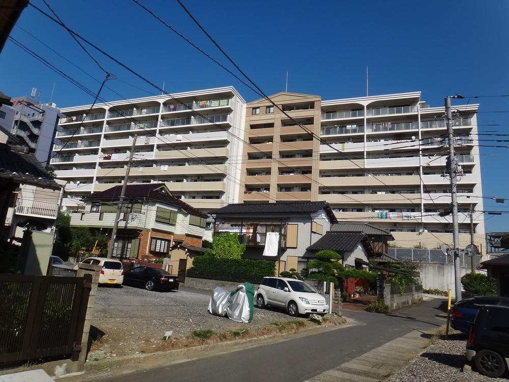 Local appearance photo. South-facing sun per good