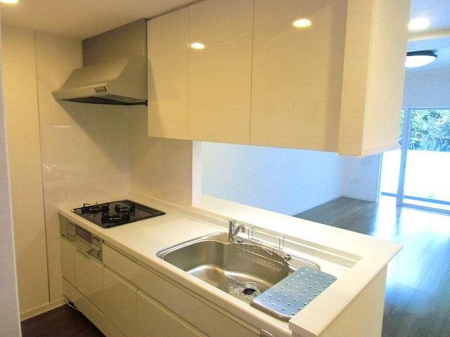 Kitchen. Room (August 2013) Shooting