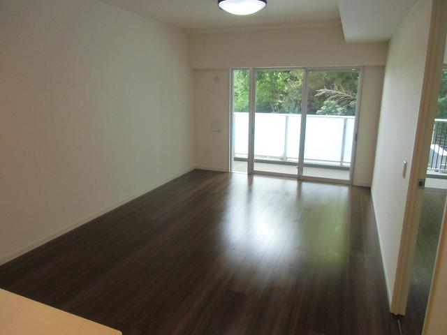 Living. Room (August 2013) Shooting